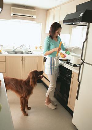 ペットを安全に輸送するための完全ガイド｜ストレス軽減と信頼できるサービスを徹底解説